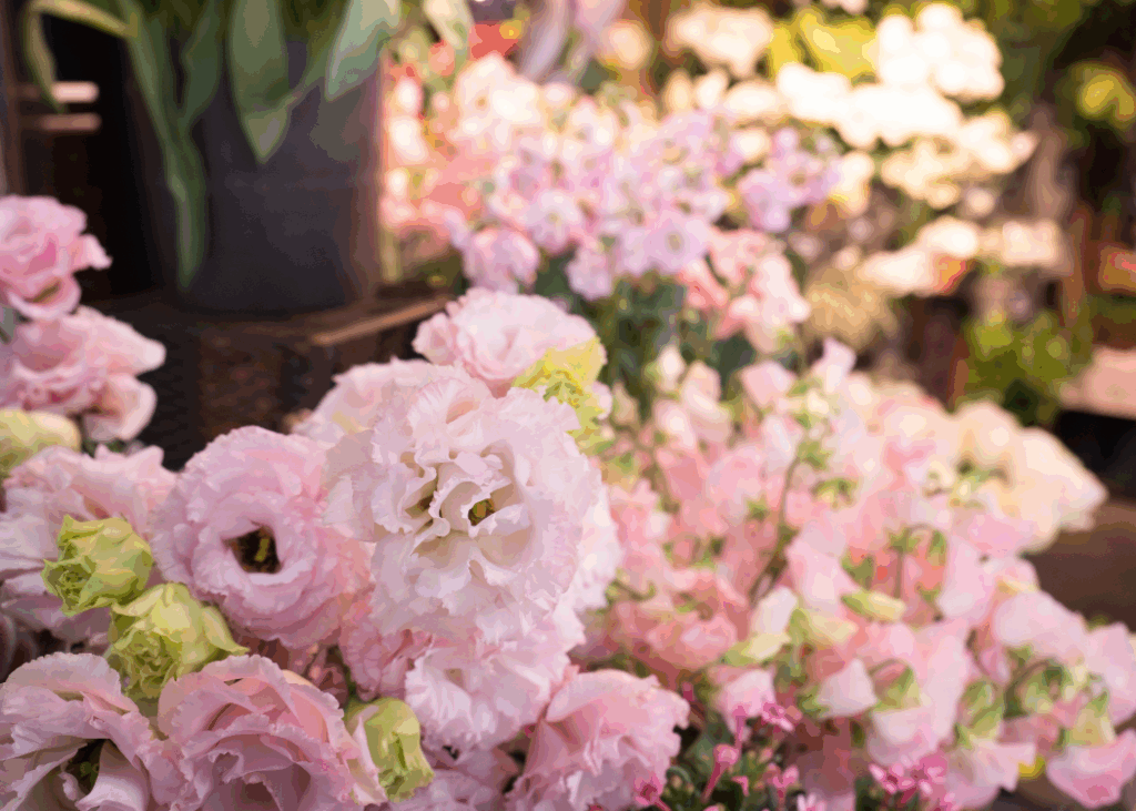 Closeup Image of some flower being set up in flower shop