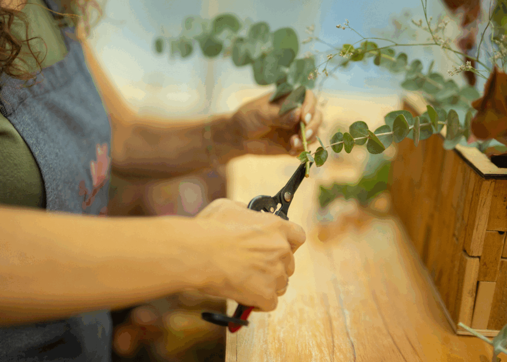 A flower shop keeper trimming a vine of a plant
